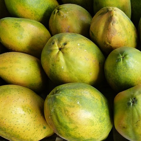 Asia Fruitee - Malaysia Largest Tropical Fruits Distributor